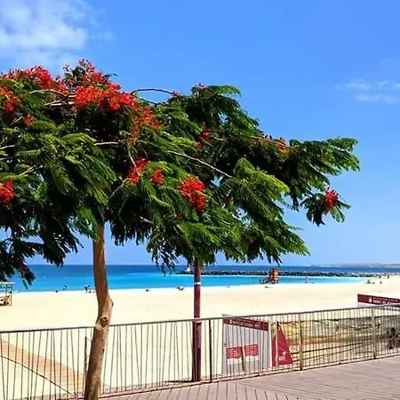 Casa La Ola Origo Mare -