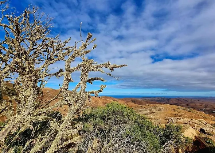 Casa La Ola - Monthly 펜션